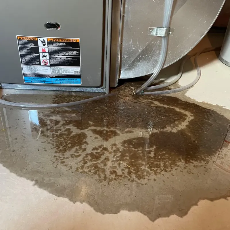 Appliance Leak Cleanup in Garner, NC